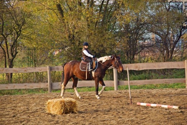 Hubertus 2009